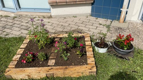 Plantation de fleurs dans le cadre de notre projet d'ecole @Maitresse Lô