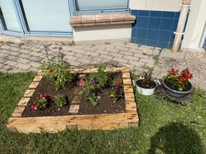 Plantation de fleurs dans le cadre de notre projet d'ecole @Maitresse Lô